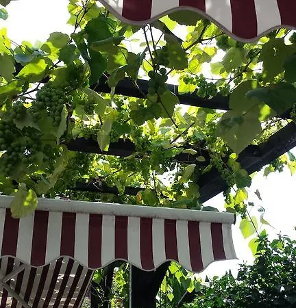 Domhof Szálloda 3*