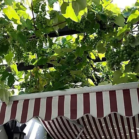 Szálloda Domhof 3*
