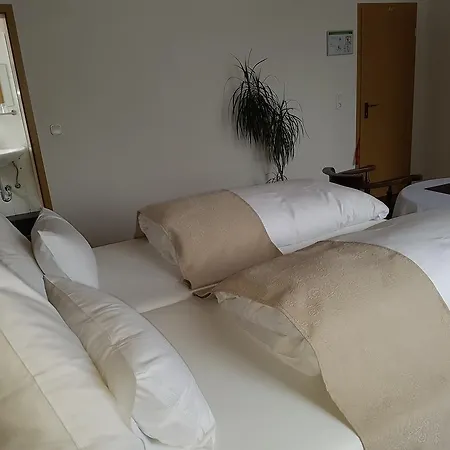 Hotel Domhof 3*