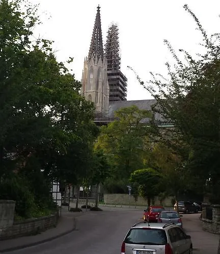 Domhof 3* 조에스트