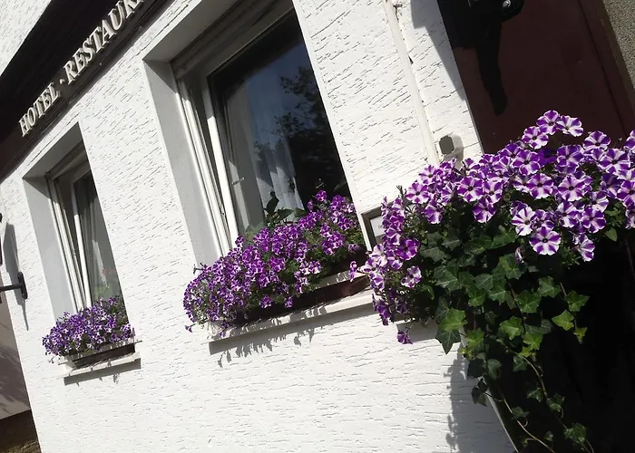 Domhof 호텔 조에스트